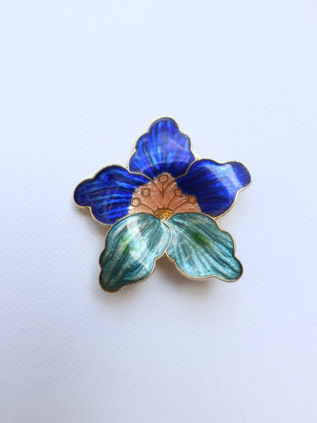 Pasa mascadas cloisonné